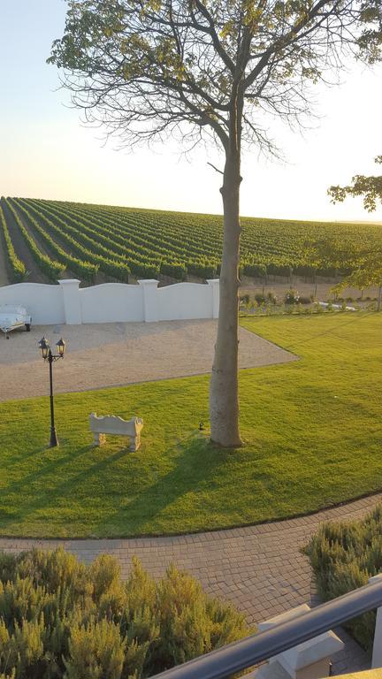 Dieu Donne Stellenbosch Exterior photo