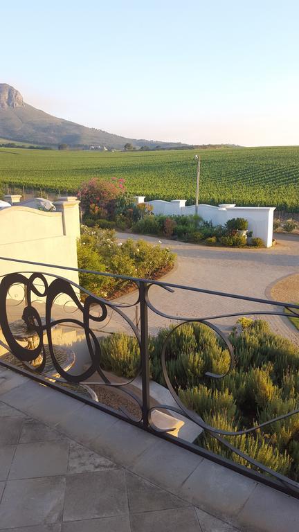 Dieu Donne Stellenbosch Exterior photo