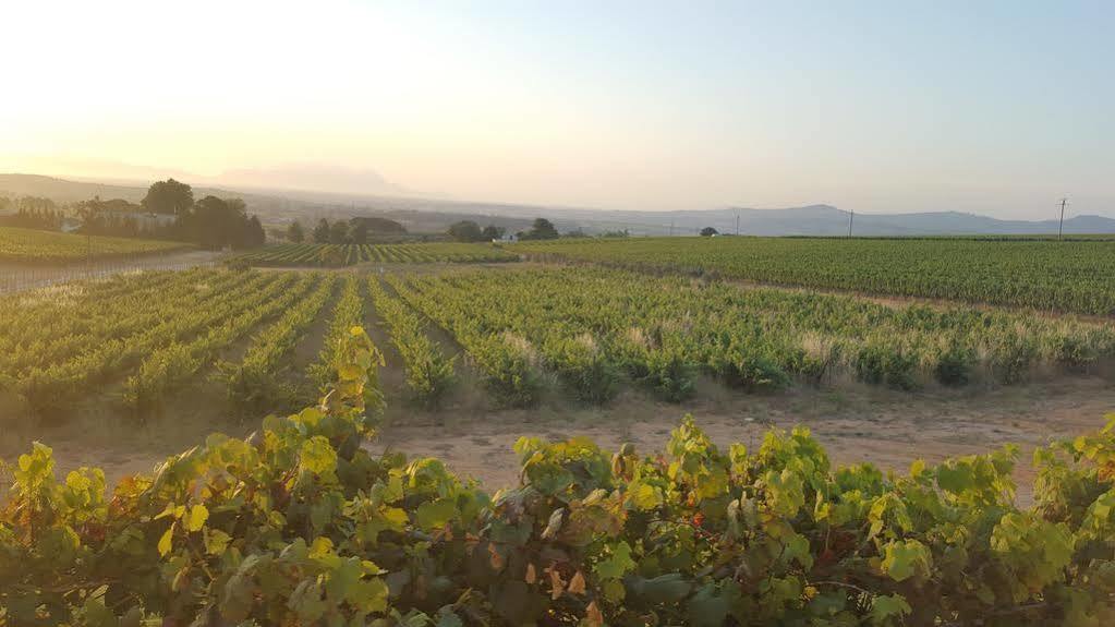 Dieu Donne Stellenbosch Exterior photo